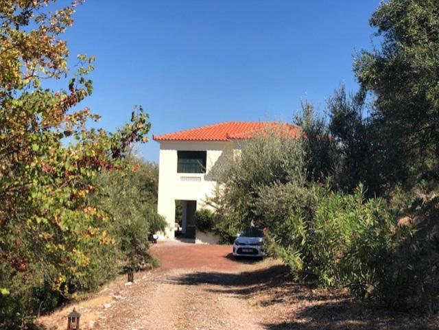 Villa Kyparissia De Wandelboom à Vrises  Extérieur photo