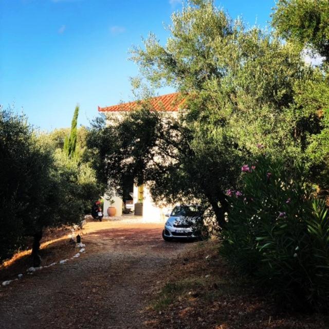 Villa Kyparissia De Wandelboom à Vrises  Extérieur photo