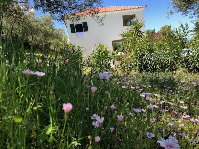 Villa Kyparissia De Wandelboom à Vrises  Extérieur photo