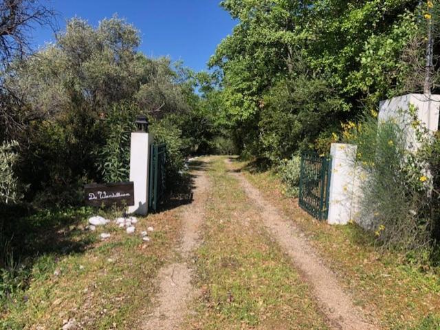 Villa Kyparissia De Wandelboom à Vrises  Extérieur photo